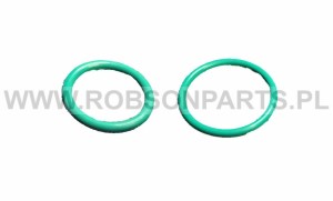 O-ring korpusu do wtryskiwacza Bosch Piezo 2 rodzaje