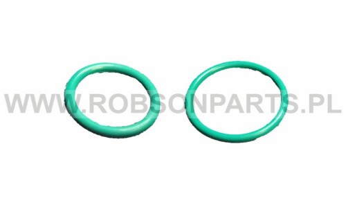 O-ring korpusu do wtryskiwacza Bosch Piezo 2 rodzaje