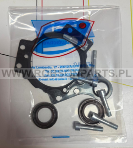 Zestaw uszczelek pompy Siemens 2.0  X39-800-300-020Z