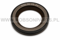 Simmering - uszczelniacz wałka pompy  CP4 Bosch 1 462 C85 998