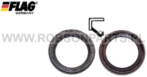 Pierścień uszczelniający pompy Bosch 20 x31x7.30 BR