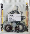 Uniwersalny zestaw  pompy Bosch  CR CP1 S