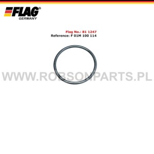 O-ring CP1 F 01M 100 114